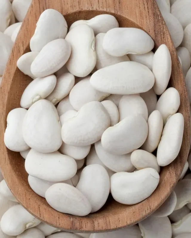 White Kidney Bean Extract