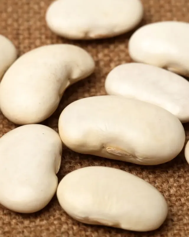 White Kidney Bean Extract