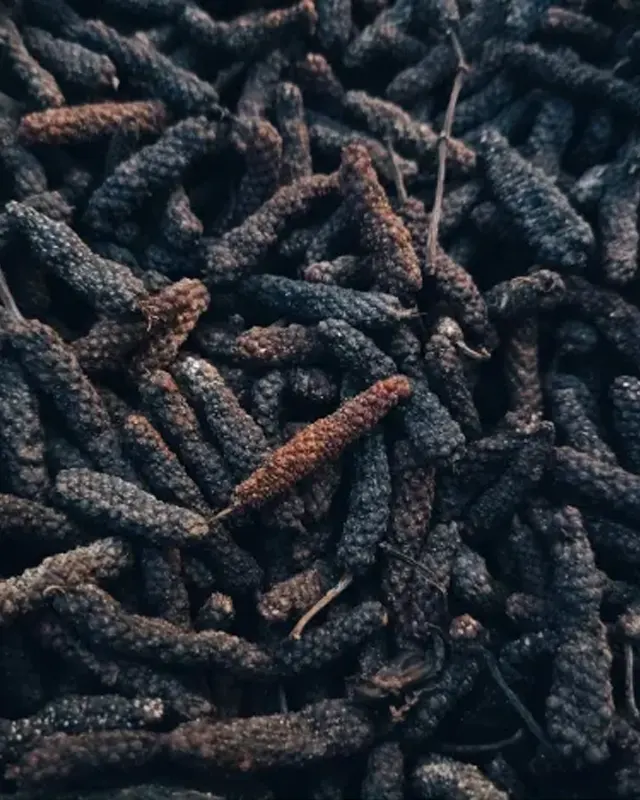 Piper Longum Extract